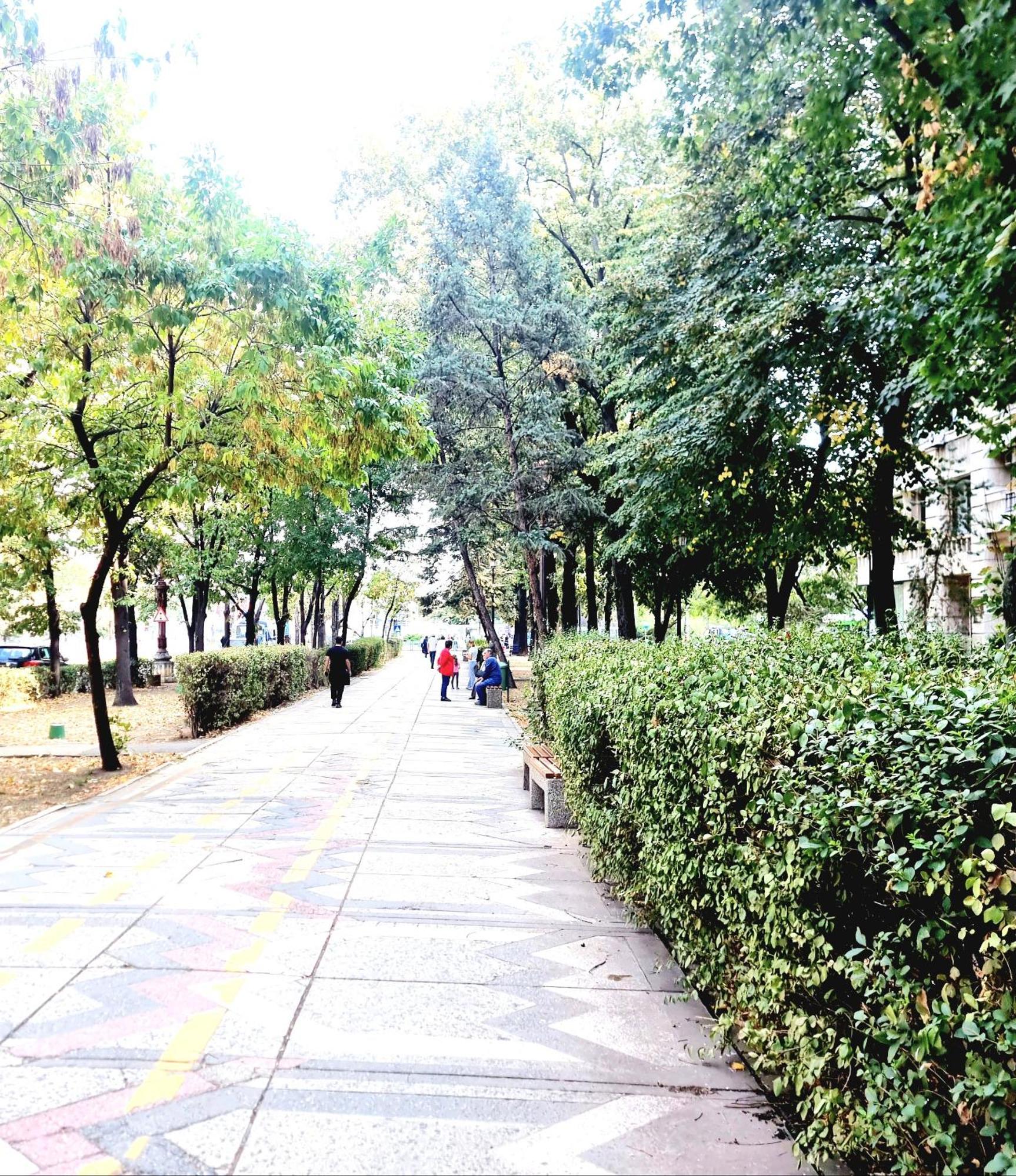 Tranquil Unirii Residence - Elegant & Spacious Living With Parking Steps From Parliament Bükreş Dış mekan fotoğraf